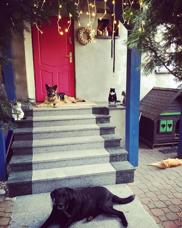 皮什Cat Stone别墅 外观 照片
