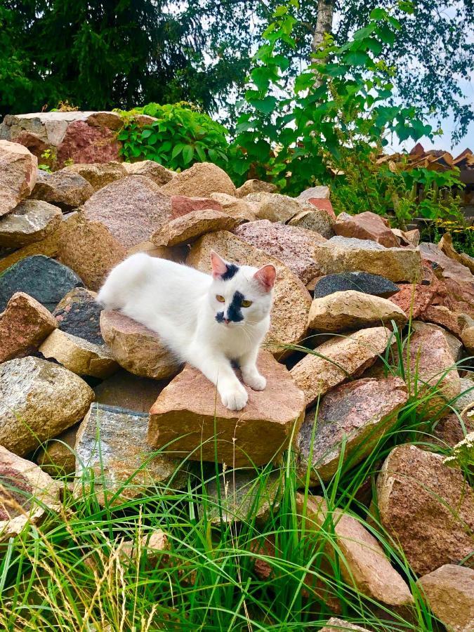 皮什Cat Stone别墅 外观 照片