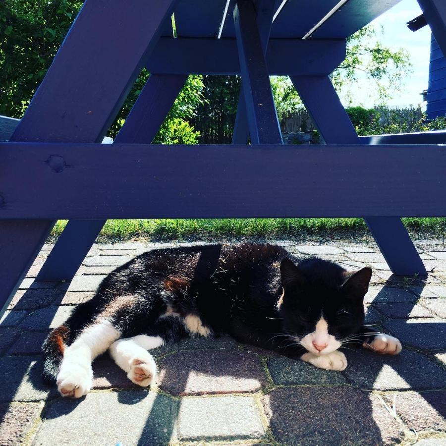 皮什Cat Stone别墅 外观 照片